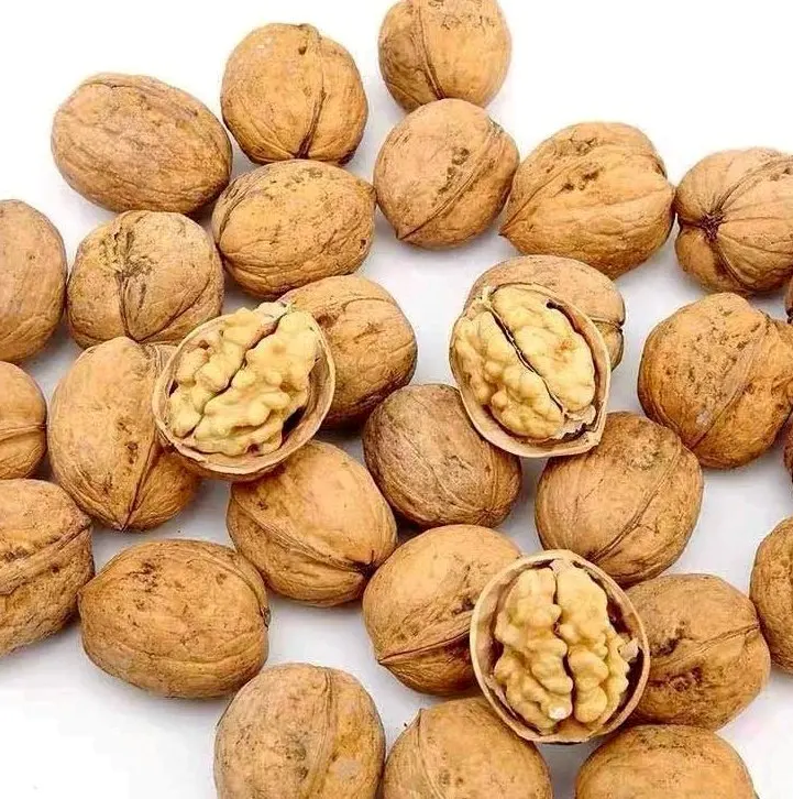 Excellent quality Thin-skin Raw Walnut with shell in bulk for sale