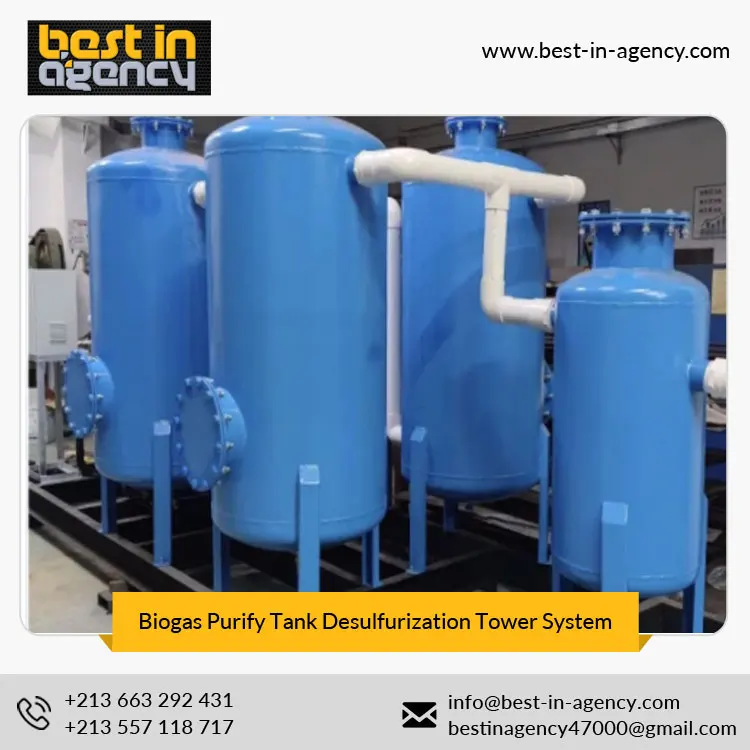 Electrical controlling Carbon Steel Biogas Blower Biogas Purify Tank Desulfurization Tower System