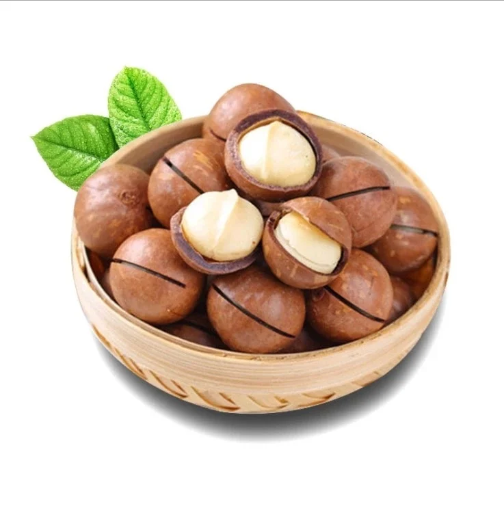 Raw Wholesale South African Macadamia Nuts