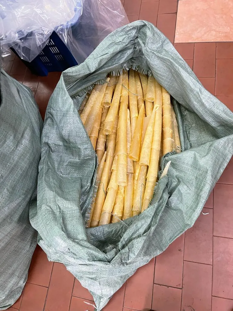 DRIED Pangasius fish maw Vietnam// Ms. Esther (WhatsApp: +84 963590549)