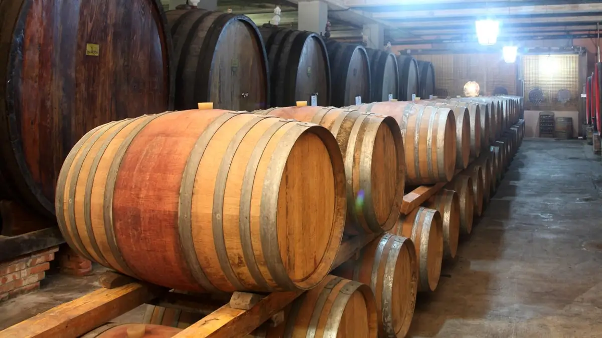 Высококачественное итальянское винное красное вино MERLOT DI Тоскана I.G.T.