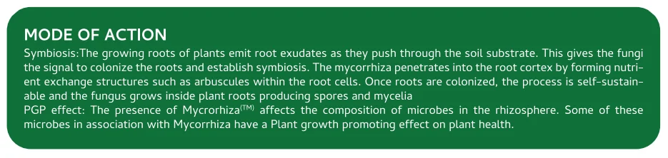 Screenshot (1162).png