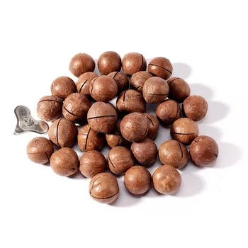 
cheap and competitive price Macadamia Nuts In shell, Kernels/Organic Macadamia Origin Brazil 