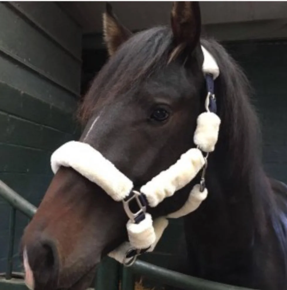 Лошадиная флисовая подкладка из нейлона