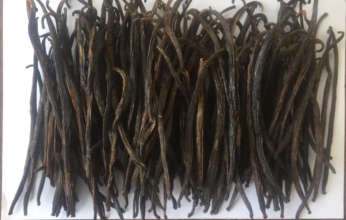 RENDAH PLANIFOLIA GRADE-3 10-11 CM VANILLA BEANS for EXTRACTION Hot Selling Indonesian Best Quality Bourbon with Best Price