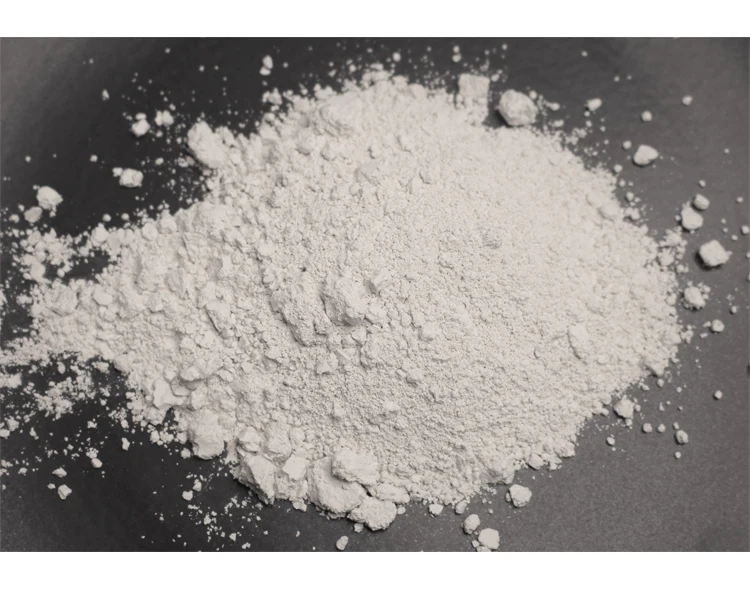 Low Market Price Best Selling 100% Natural Food Grade Diatomaceous Earth Powder from Indian Manufacturer
