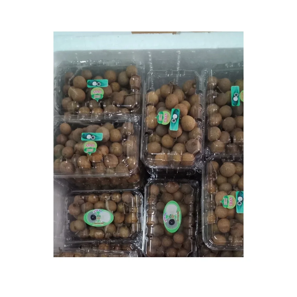 Good Quality Healthy Organic Tropical Thick and Brittle white Fresh Ripe Dimocarpus Longan Fruit exported from Vietnam