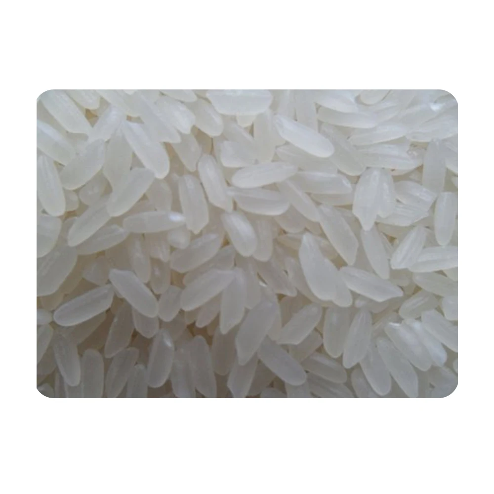 
Wholesale Price Short Grain Indian Rice 