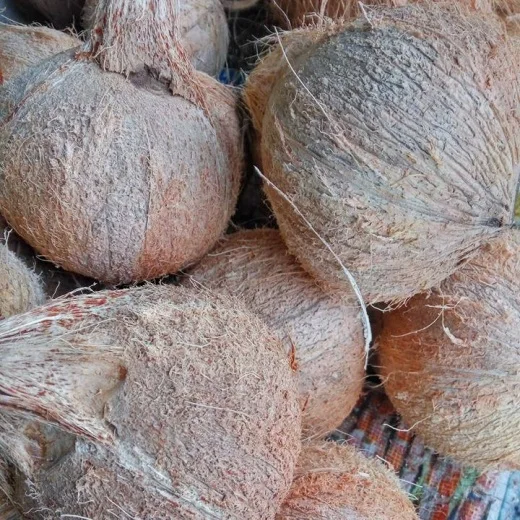 
COCONUT DRIED COCONUT CHEAP PRICE - Ms Angela +84 896 683 264 