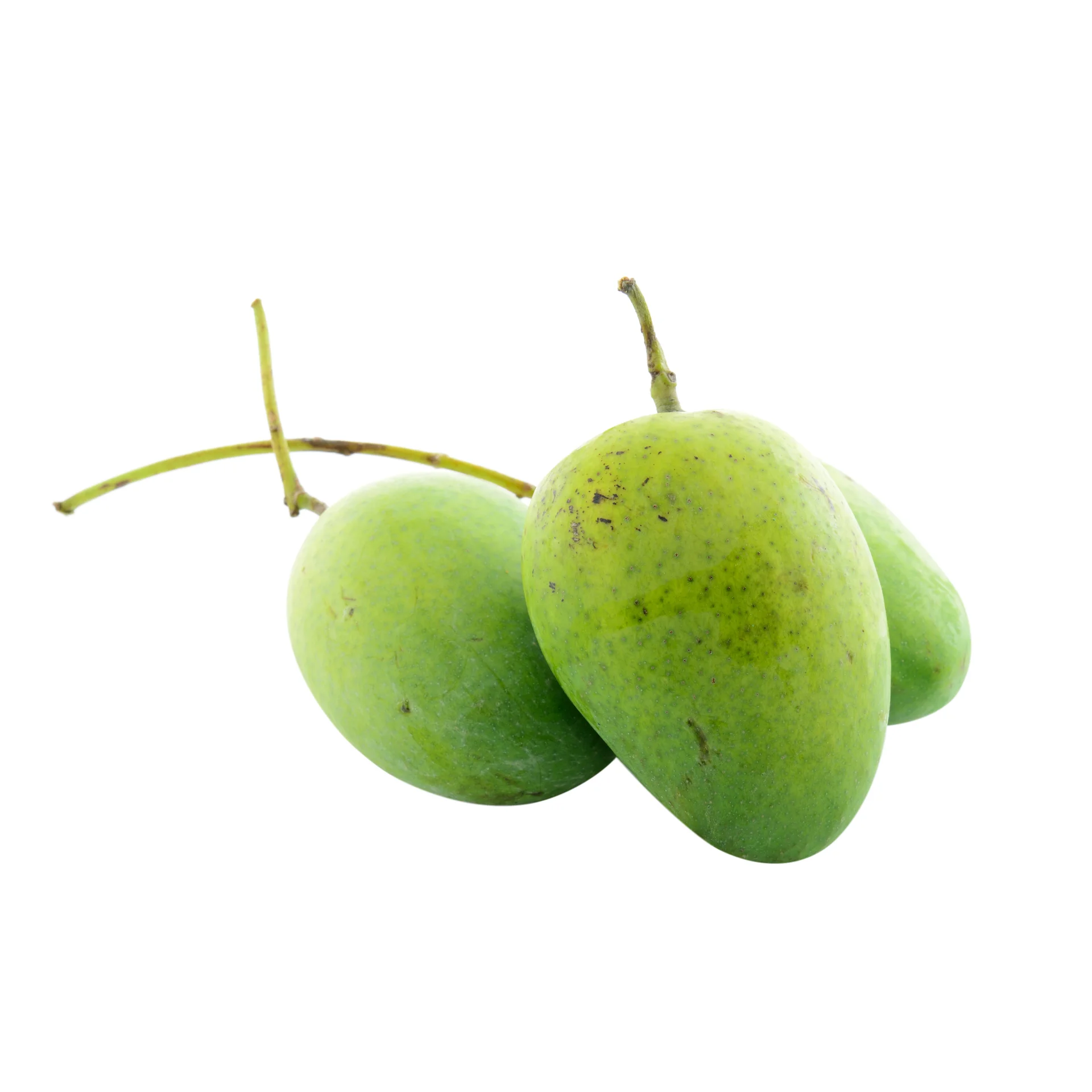 Сырые манго-высокое качество