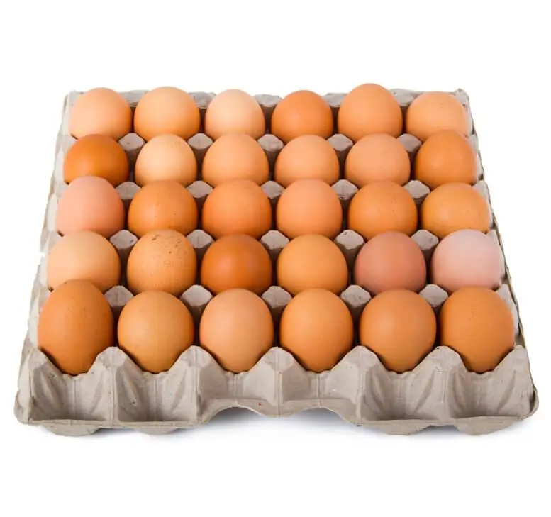 
Farm Fresh Chicken Table Eggs Brown and White Shell Chicken Eggs in South Africa 