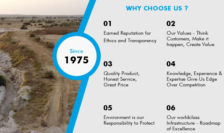 Off White 100% Natural Kieselguhr Catalyst/Diatomaceous Earth Powder from Indian Seller