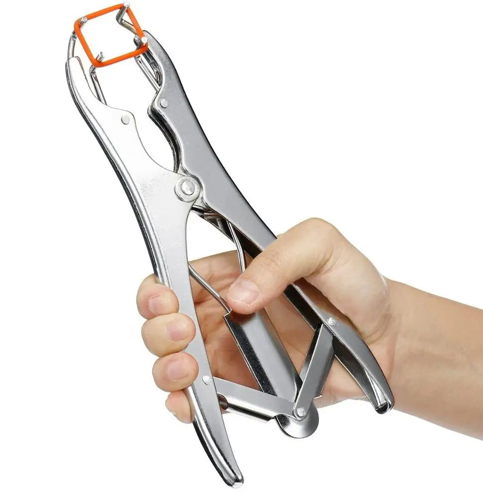 Stainless Steel Castration Banding Tail Dock Cattle Sheep Goat Puppy