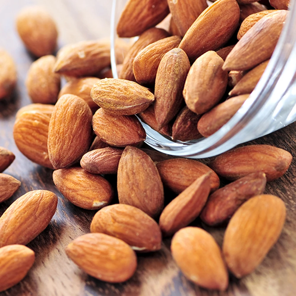 
Bulk Supplier of High Quality Natural Almond Protein 