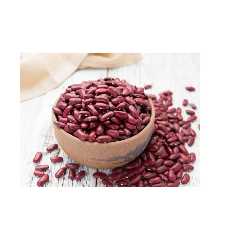 High Quality Pulses Kidney Beans For Sale Wholesale Kidney Beans