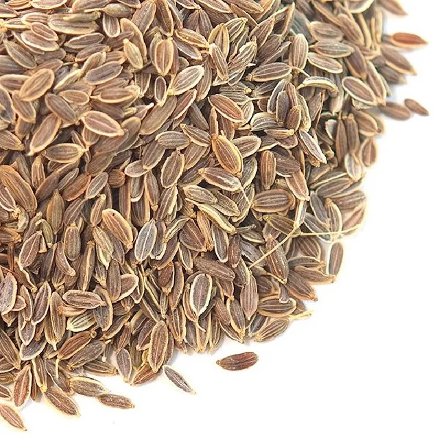Dill Dried Organic Wholesale Hot Wholesale Hot Food Seasoning Whole Single