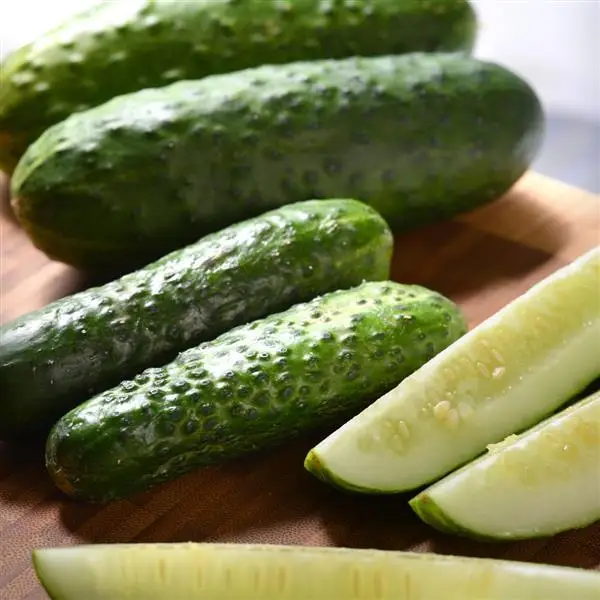 Fresh Farm Agricultural Cucumber