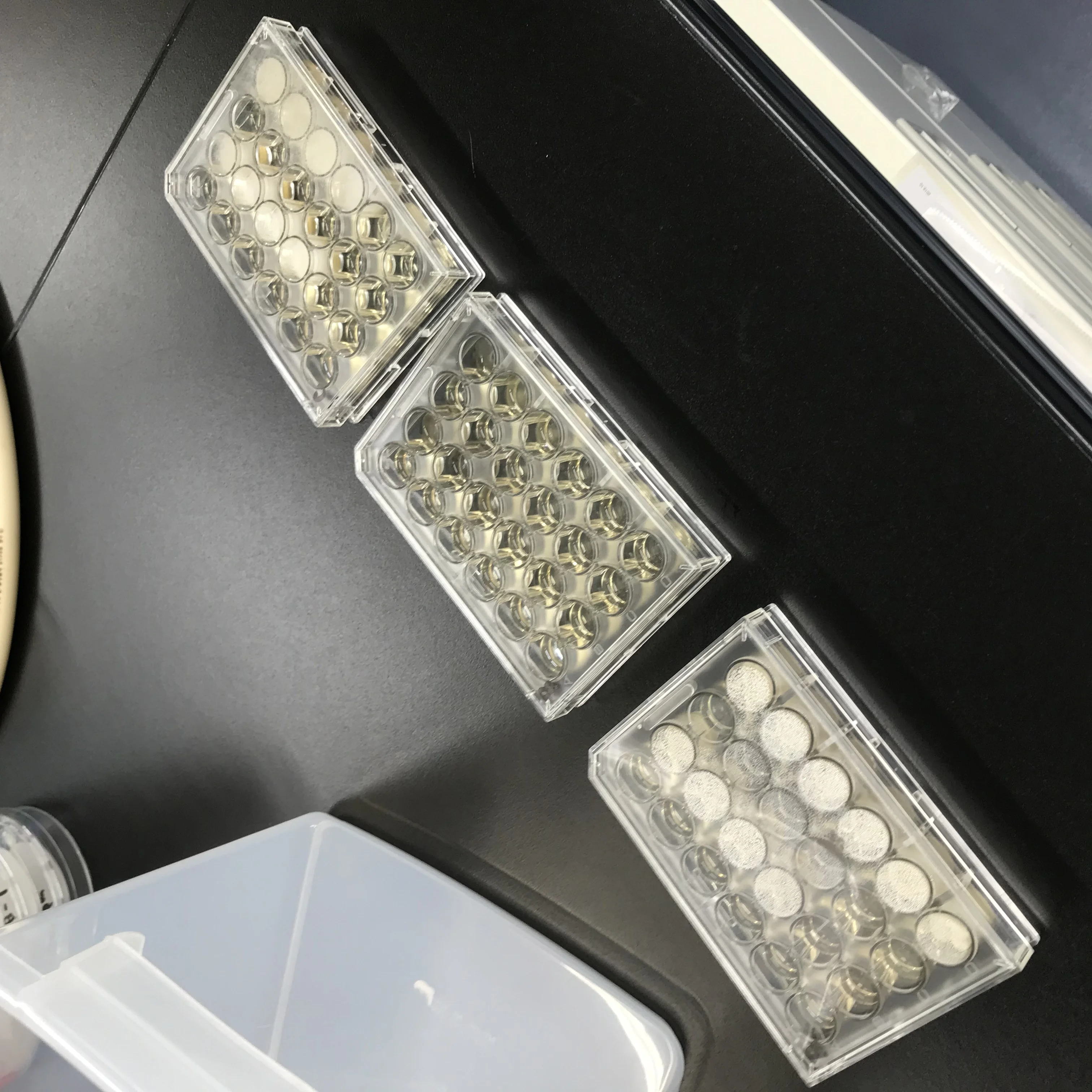 
Japan designer decorative wall covering material powder coating powder 