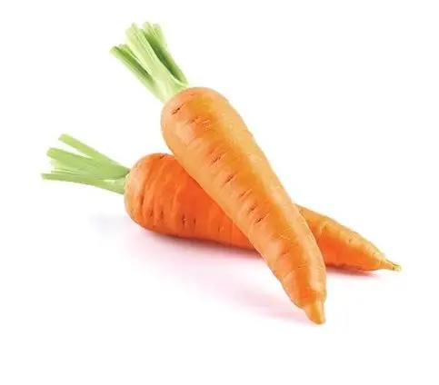 Fresh Carrots -  Customized Package Non-GMO Fresh Carrots Whatsapp +84988667319