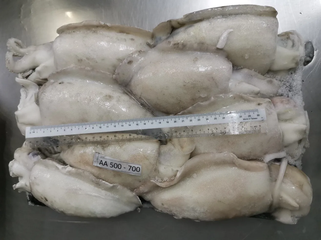 Special 9KG/CTN Weight Frozen Whole Round Cuttlefish For Sale With Best Price From Malaysia