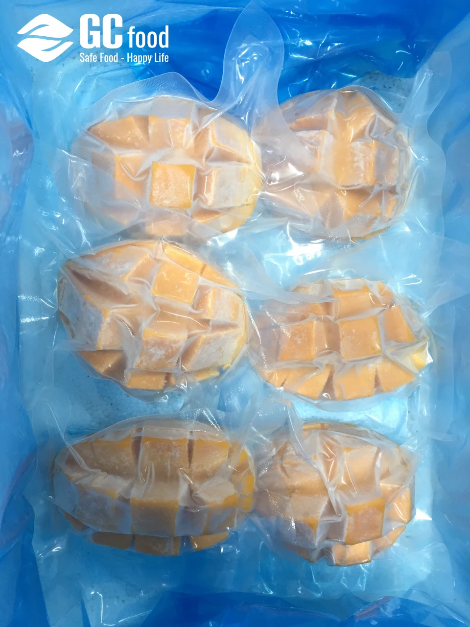 Hot Mango Pulp - Frozen mango dice from mango fruit - Block shape - 12 months shelflife- Bulk Packaging