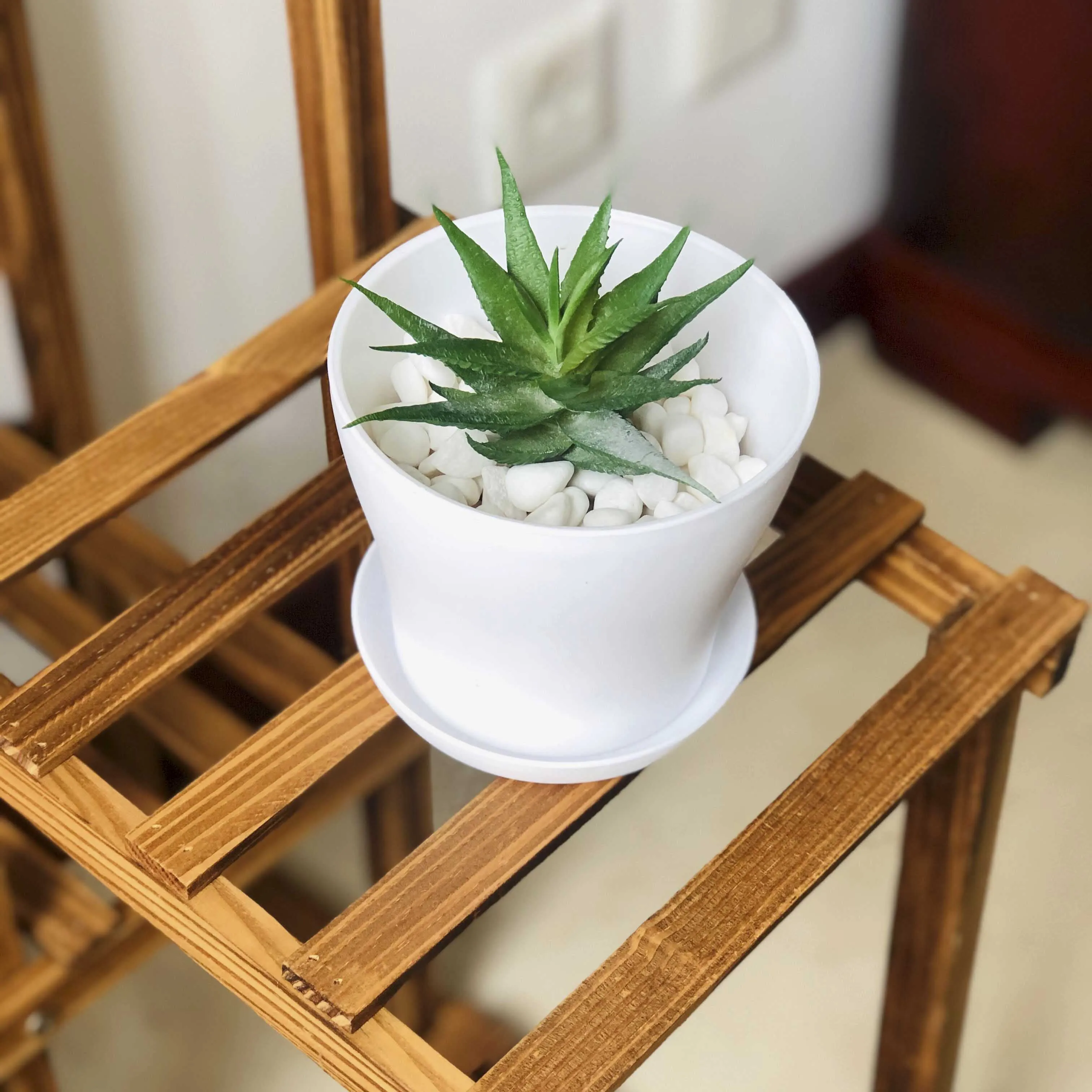 Пластиковый горшок для растений с блюдцем декоративный пластиковый цветочный садоводства