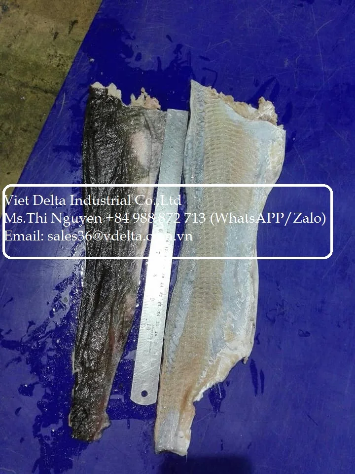 Manufacturer fish skin/ dried - snack - fried ( crispy ) of pangasius fish skin - salmon fish skin very cheap from Vietnam/ Lima