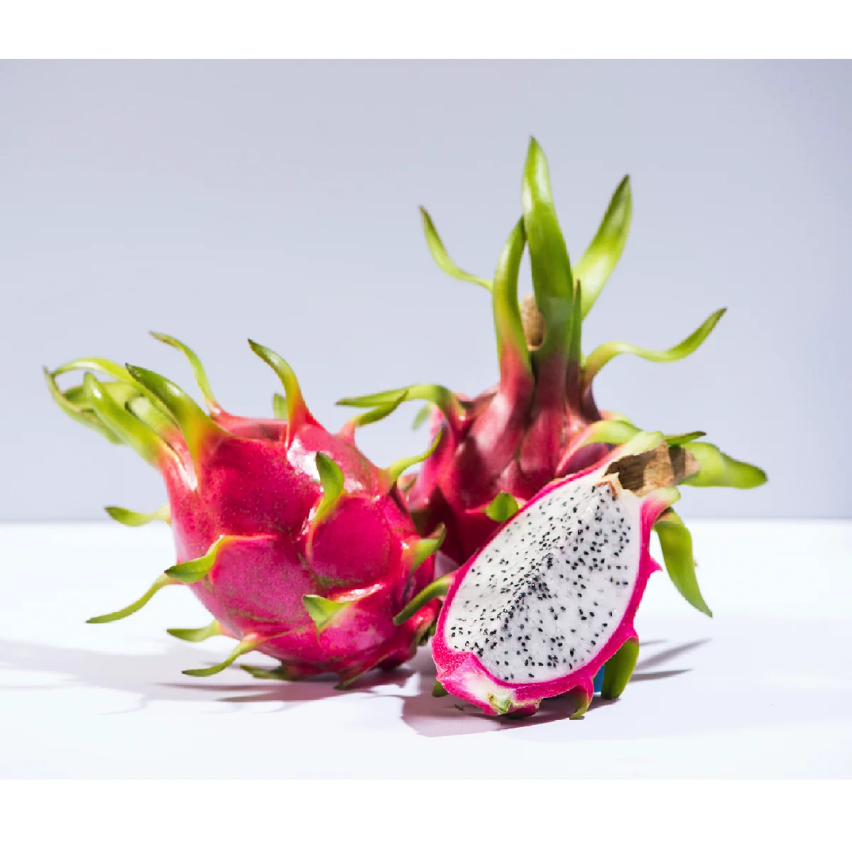 Top Recommended Vietnam Fresh Sweet Taste Red Flesh/White Flesh Dragon Fruits With 7 Days Shelf Life