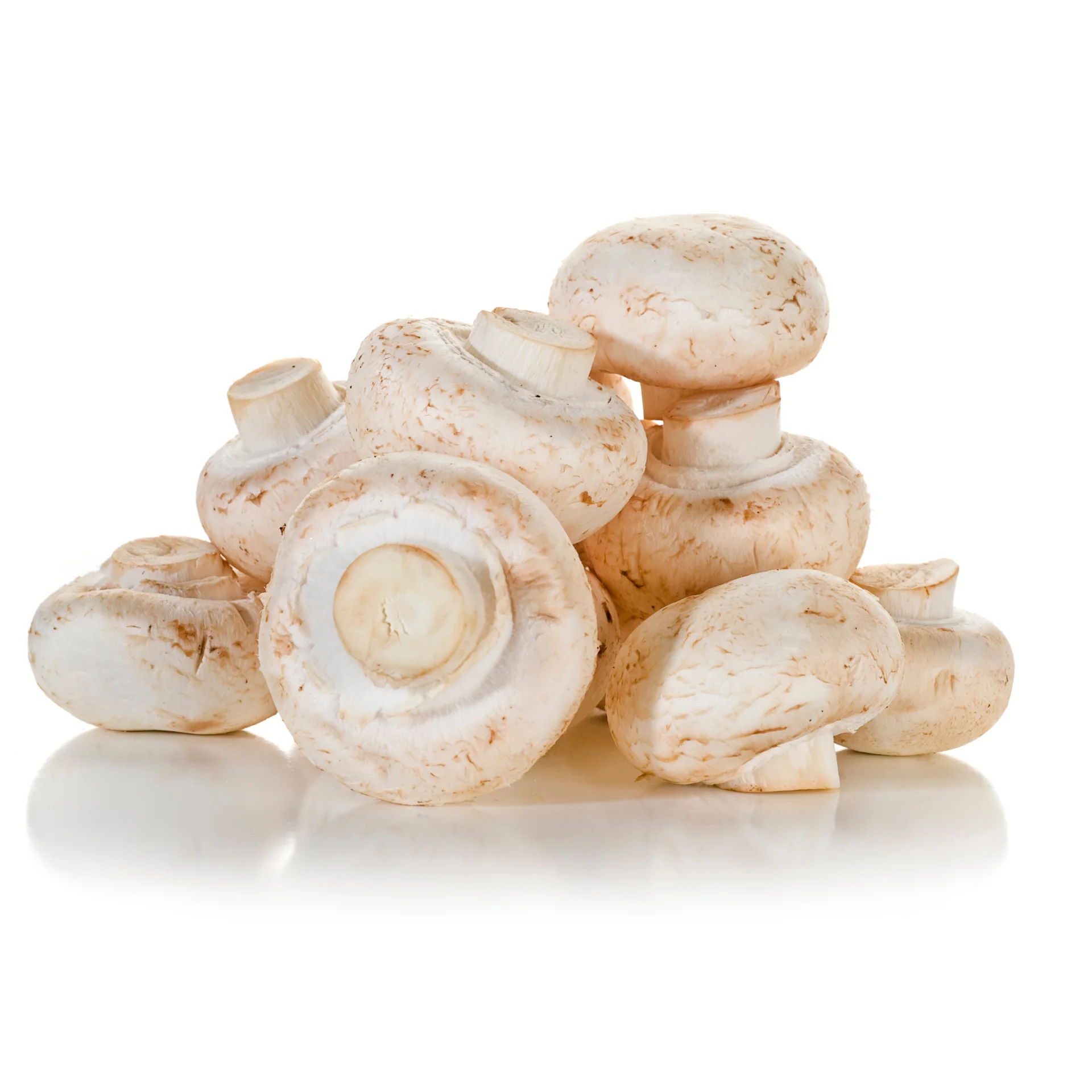 Сушеный устричный гриб для продажи, устричные грибы 1k