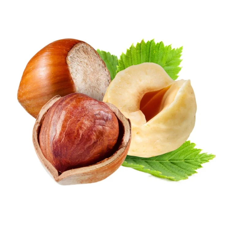 Hazelnut kernels/Hazelnut in shell/ Organic hazelnut
