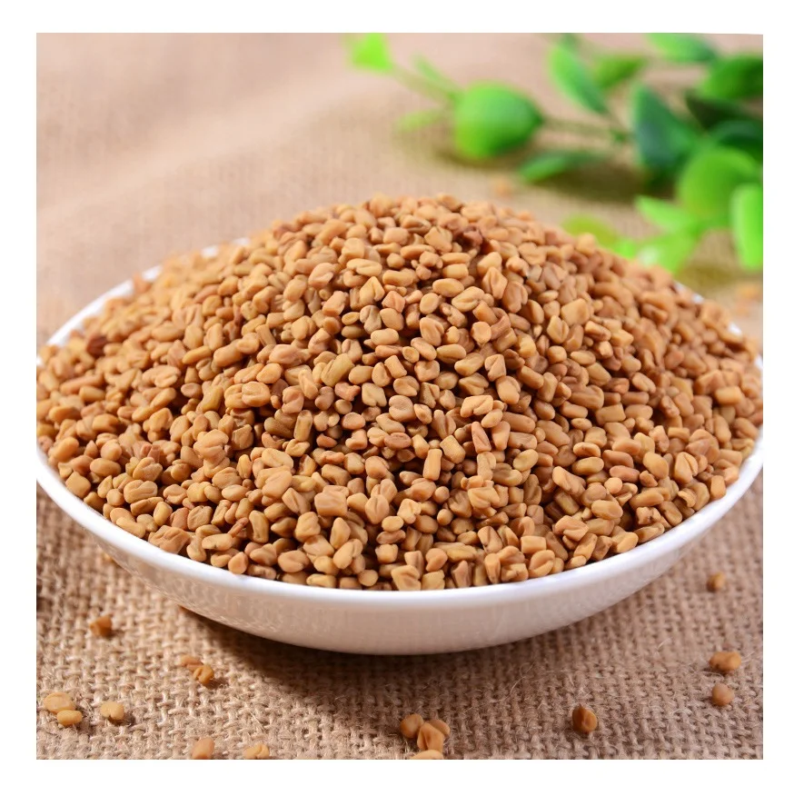 High Quality Fenugreek Seeds Available at Cheap Price