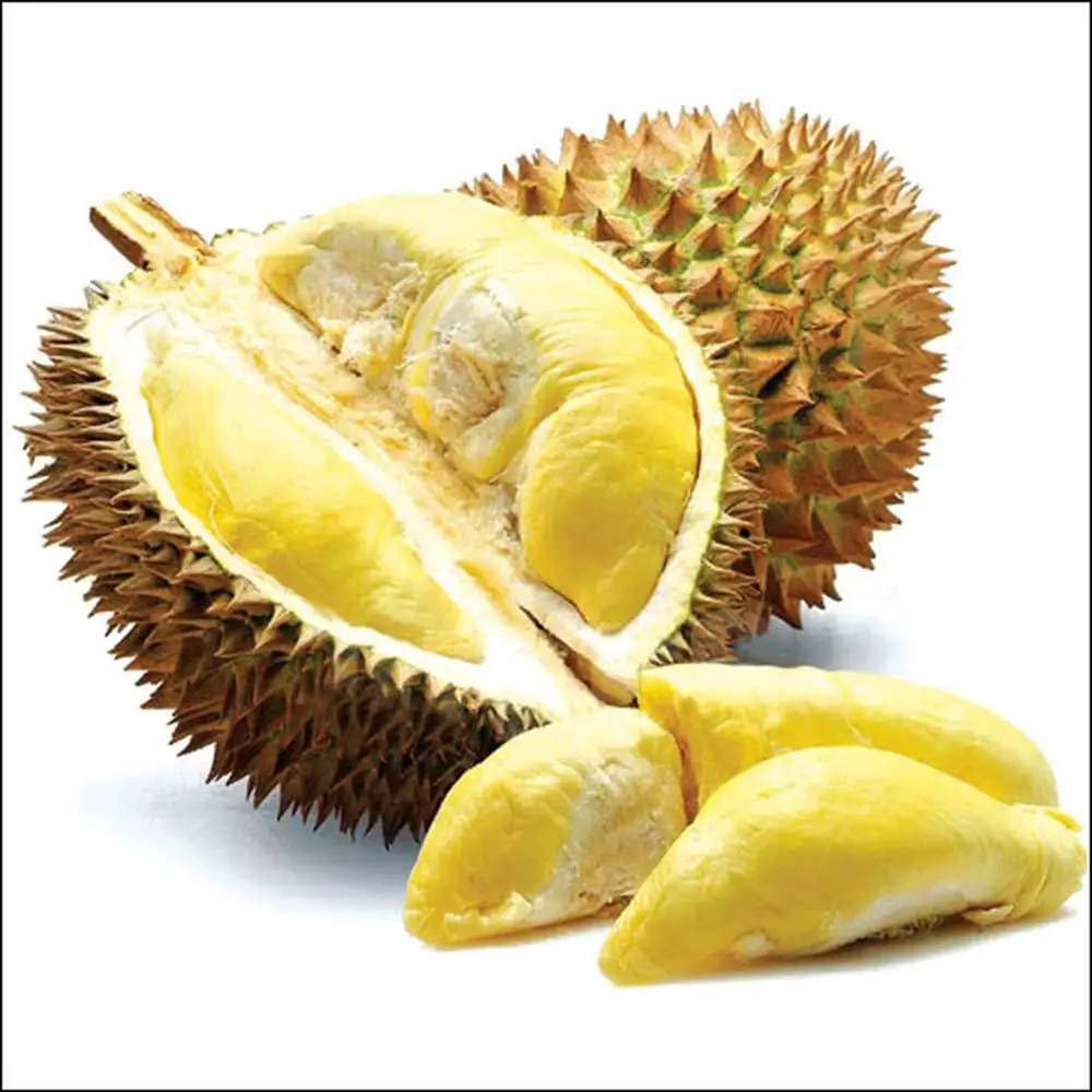 FRESH DURIAN WITH DELICIOUS TASTE IN VIET NAM WHATSAPP +84 787408159