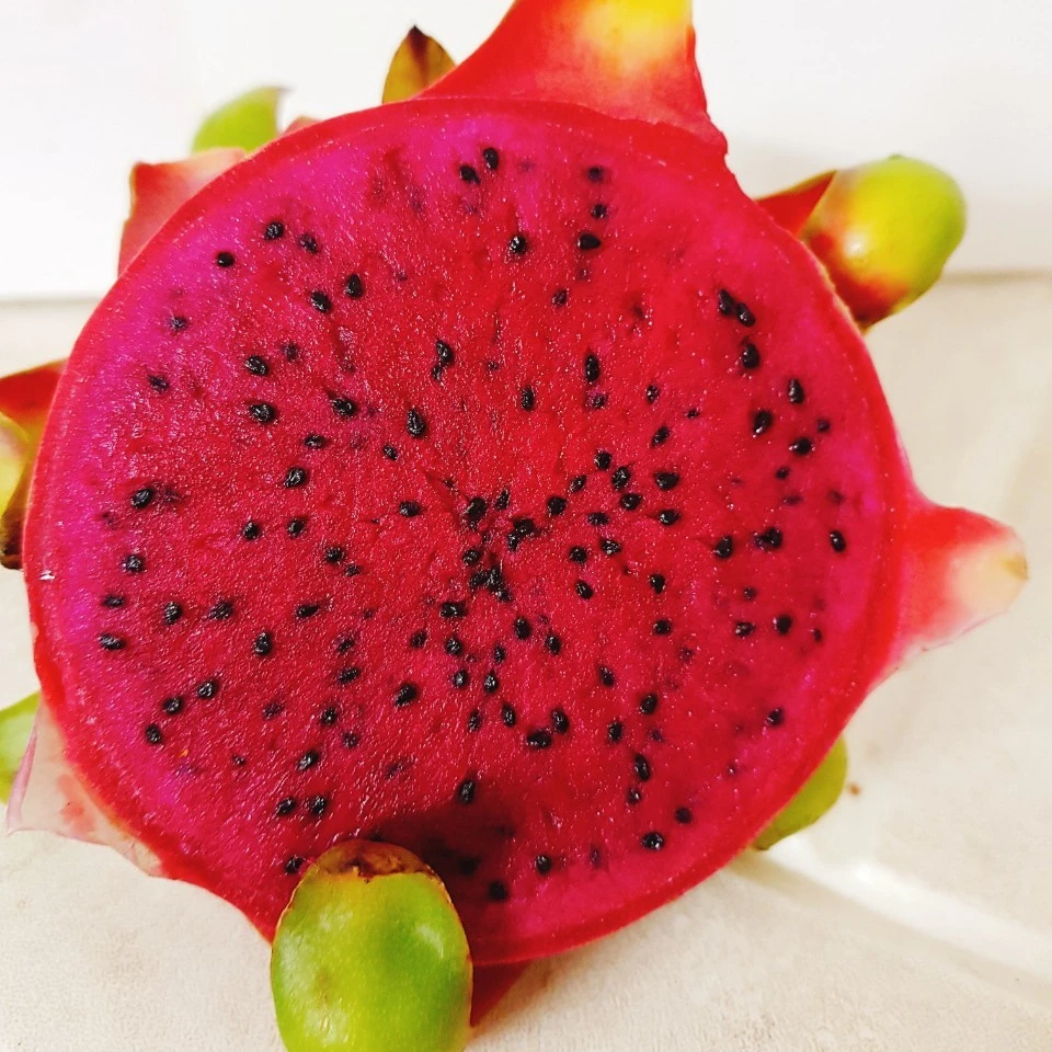 Дракон фрукт горячая Распродажа + 84932436968