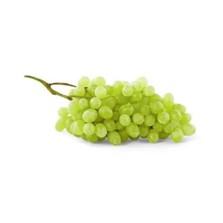 Chile Grown Fruit Green Grapes SEEDLESS