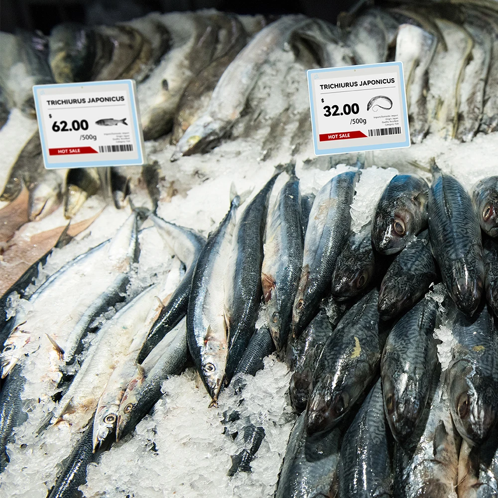 Suny E чернильная бумага ESL цифровой ценник электронная полка этикетка демонстрационный комплект для