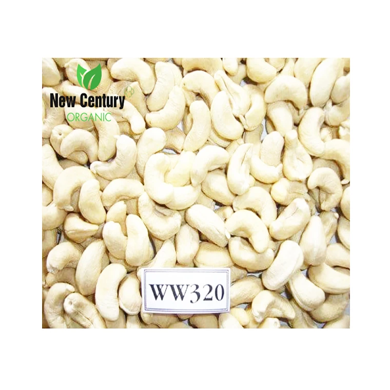 
Wholesale Cashew Nuts 