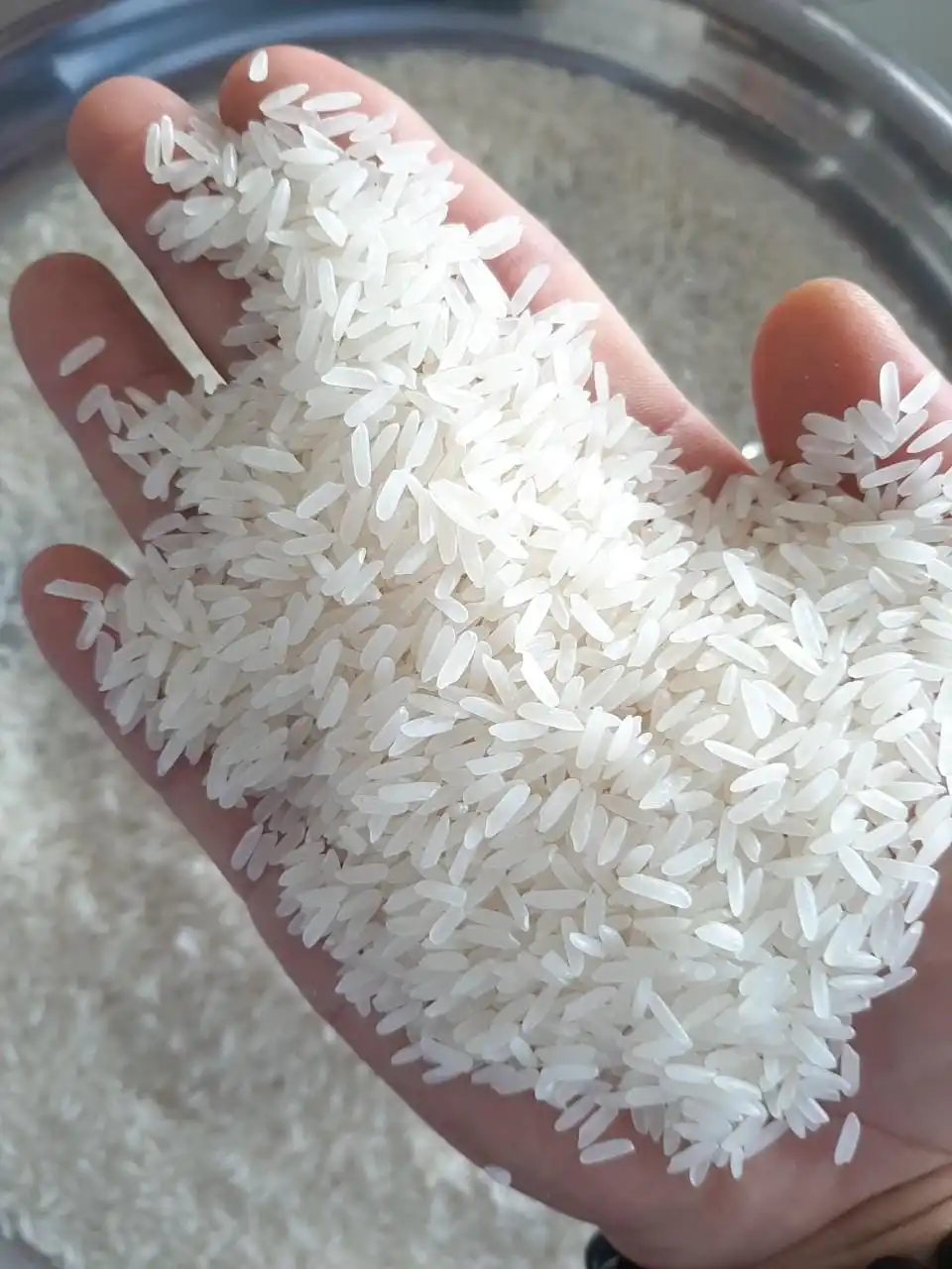 New crop Vietnam long grain white rice jasmine 5% broken