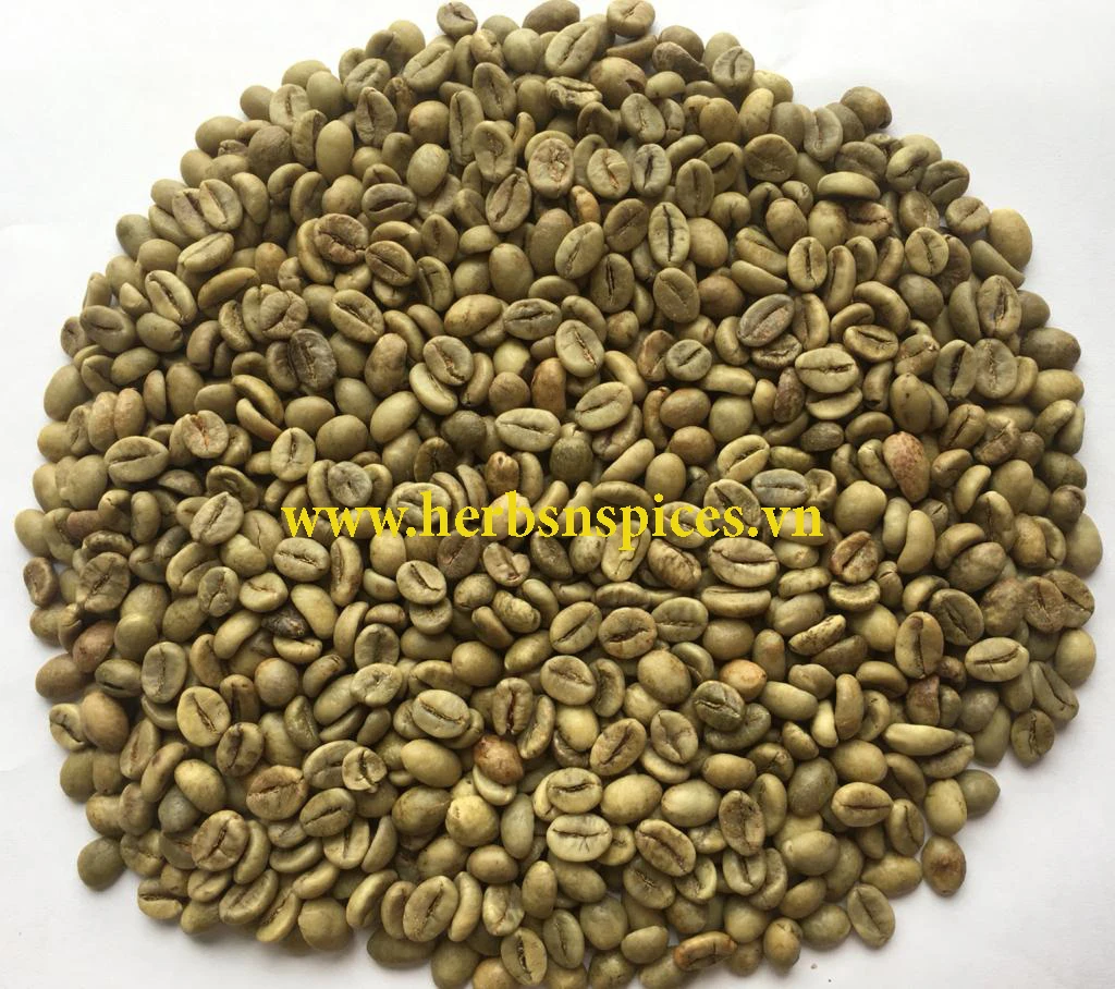  Оптовая продажа вьетнамский КОФЕ Robusta S16/ 18 высокого качества