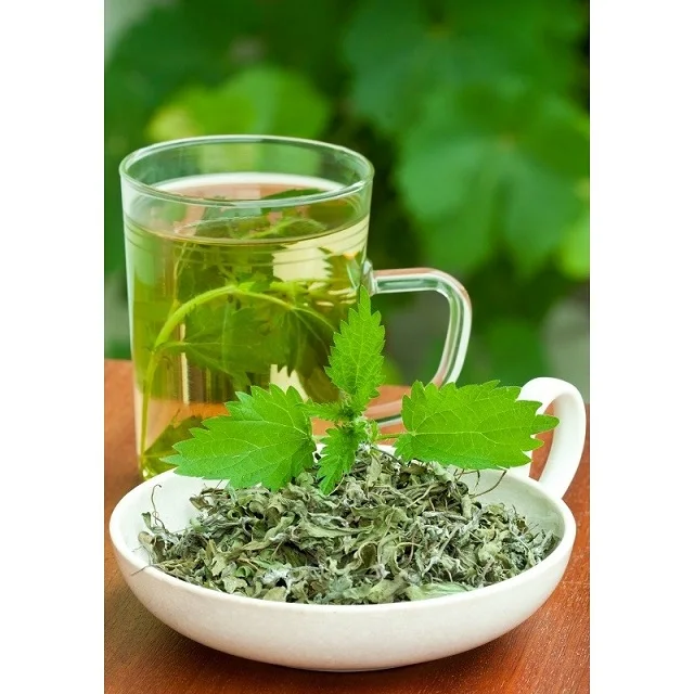 Top quality Herb Naturally Dried Spice organic dried nettle leaves