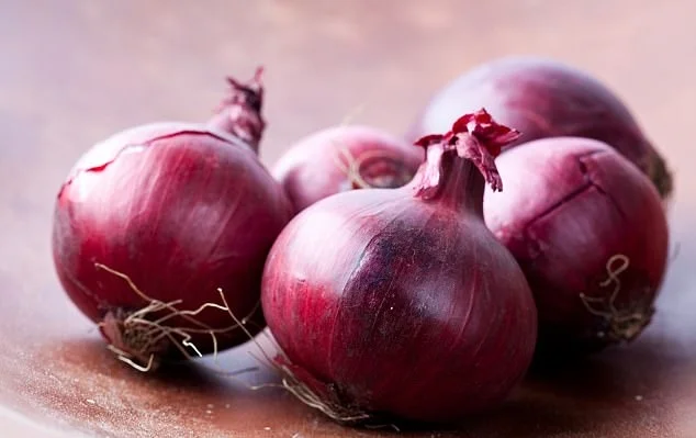Wholesale fresh onion for sale/ Export fresh onion