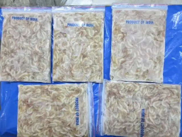 FROZEN RIVER SHRIMPS