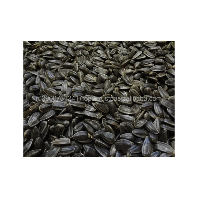 Selected sunflower seeds for medicine livestock feed in the industrial production of soap, potash and paper, seeds sunflower