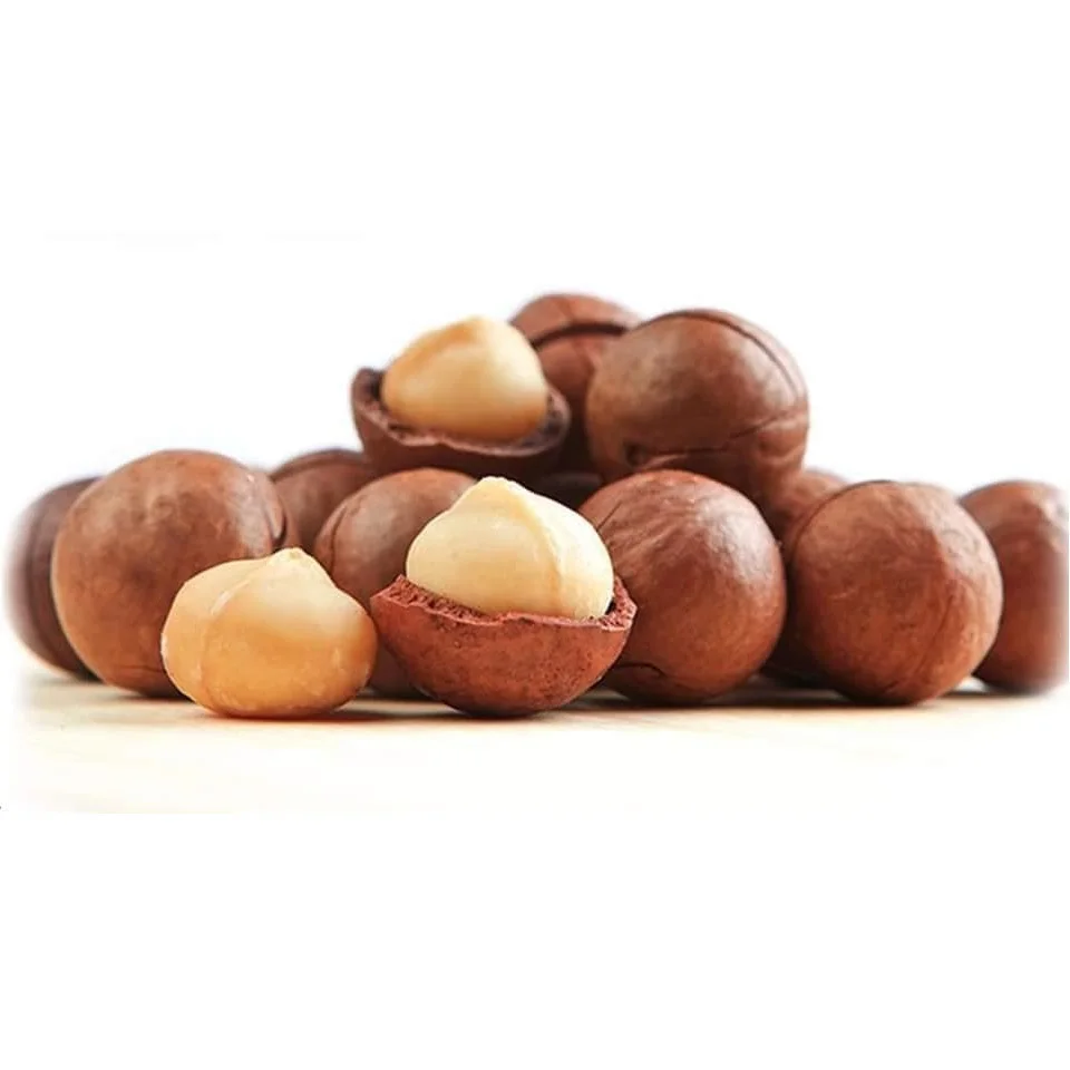 
Healthy Food Organic Dried Shell Cracked Macadamia Nuts in Zipper Bag Packaging 
