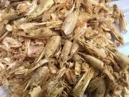 SHRIMP SHELL  FROM VIETNAM / CONTACT TO +84 911 695 402