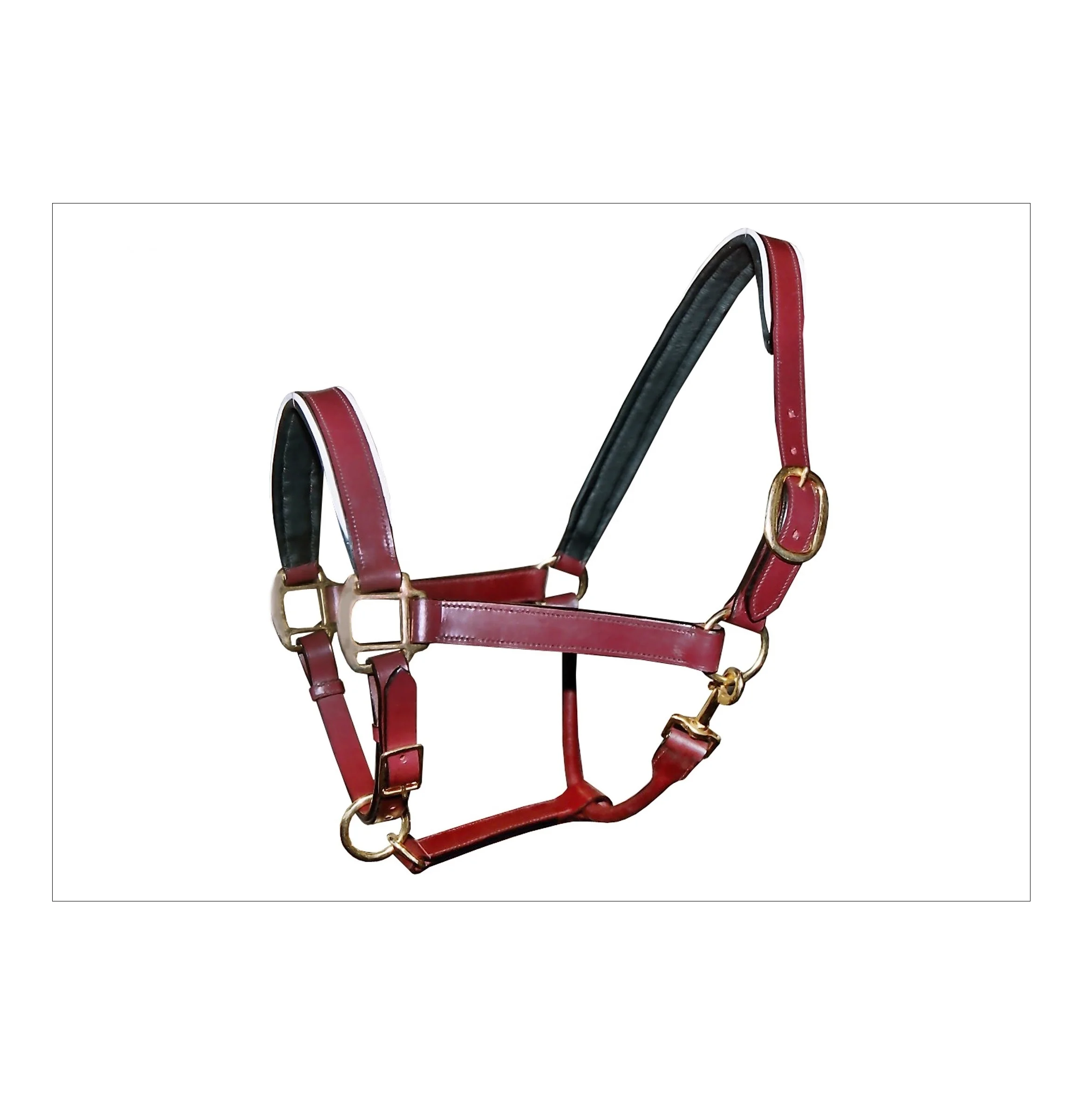 Colorful Padded Leather Luxury Style Horse Halter Head Collar
