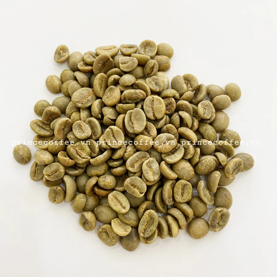 Лидер продаж кофейные зерна Арабика от вьетнамского поставщика органические зеленые зерна-Сырые Зерна