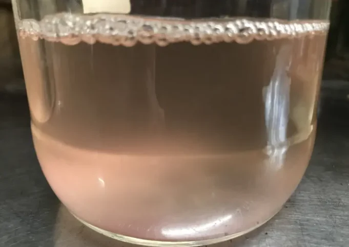 Японское саке премиум-класса Jyunmaisyu касин