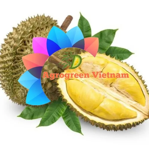 Frozen Durian Fruit(Seedless) -  Frozen Fruit