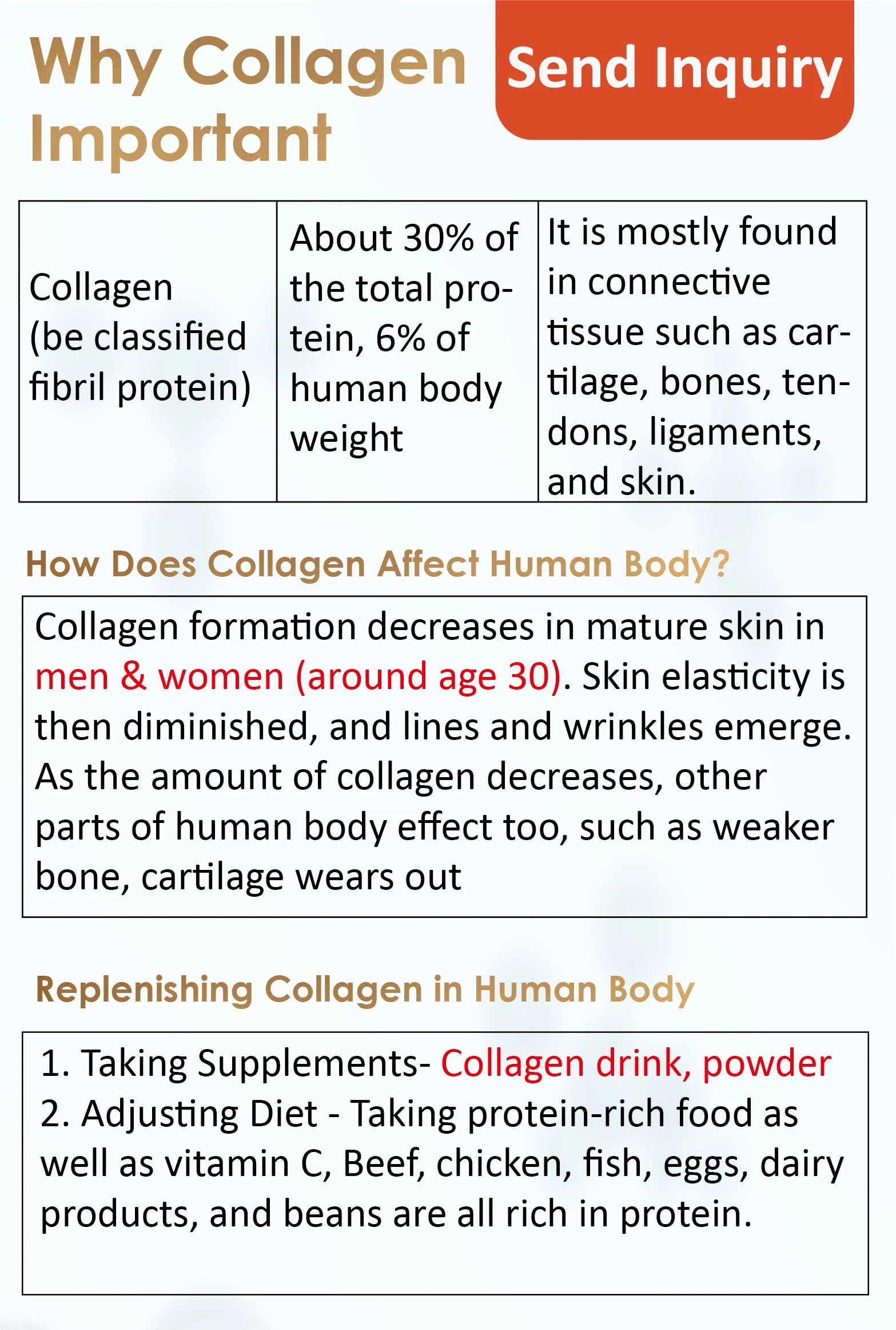 collagen information-3.jpg