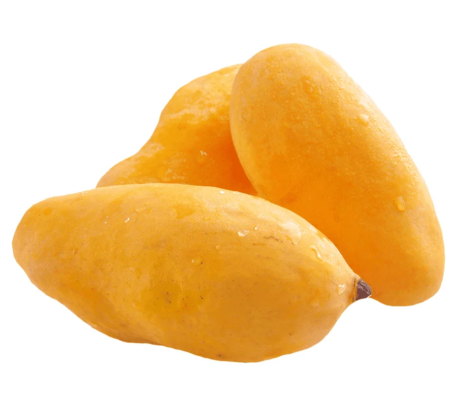 Mango Sindhri, Fresh Mango from Pakistan ( Special Export Quality)